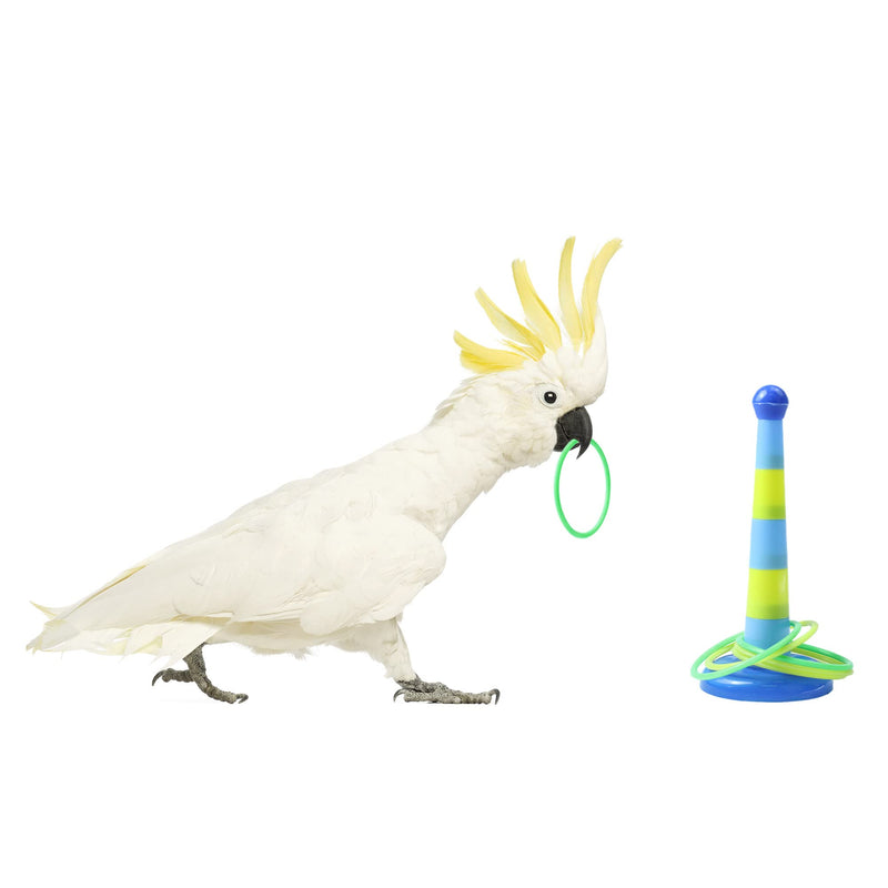 Bird Toys for Parrots and Cockatiels,7-Piece Combo Toy, Educational Toy Ring, Skateboard, Cotton Rope Mini Shoes, Bite Toy - PawsPlanet Australia