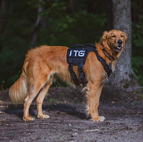 [Australia] - OneTigris Gladiator Support Dog Harness, Comfortable Non-Slide & No Pull Pet Lifting Rehabilitation Vest Medium Black 