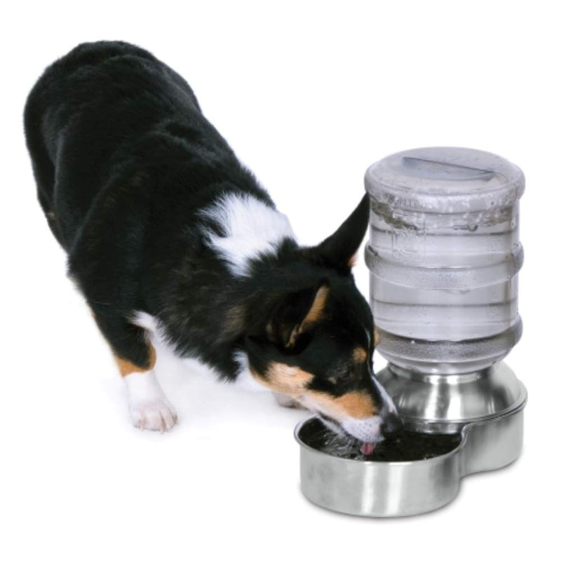 [Australia] - Petmate Stainless Steel Replendish Waterer, Small (24345S) 