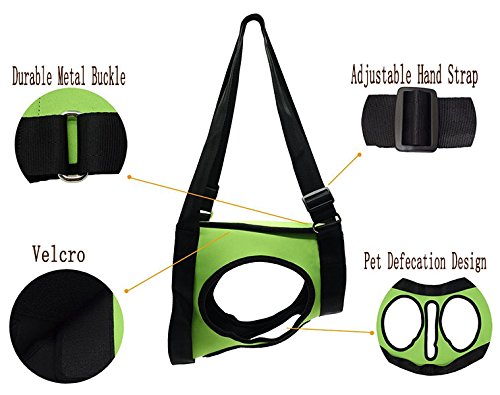 Da Jia Inc Dog Lift Rehabilitation Support Harness Assist for Elderly Disable Joints Surgery(Green,28-35Kg) 28-35Kg/61.6-77LB Green - PawsPlanet Australia