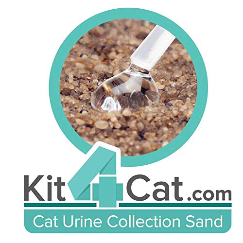 [Australia] - KIT4CAT 2lb Hydrophobic Litter Sand Cat Urine Sample Collection Kit 1 Bag 