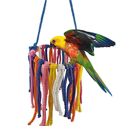 NganSuRong Pet Bird Parrot Cotton Rope Chewing Bite Hanging Cage Swing Budgie Climb Bungee Chew Toys Training Cockatiel Hammock - PawsPlanet Australia