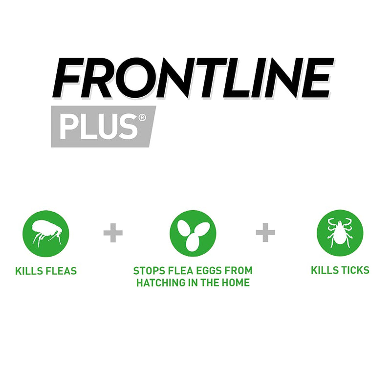 FRONTLINE Plus Flea & Tick Treatment for Cats and Ferrets - 3 Pipettes - PawsPlanet Australia