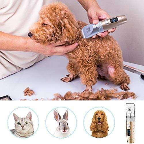 Hatteker Clipper Trimmer Dog Hair Clipper Cat Pet Long Hair Professional Dog Clipper Animal Hair Trimmer Battery Electric Wireless Low Noise Rechargeable - PawsPlanet Australia