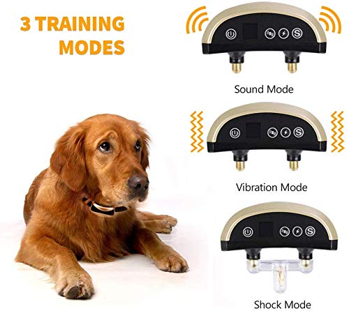 [Australia] - DTLake Bark Collar Small Dog for Medium Dogs Large beep Sound Ultrasound Harmless Shock with USB Rechargeable Dog Bark Collar Safe Control Device GOLD 