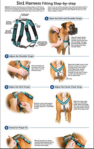 [Australia] - PetSafe 3 in 1 Harness - No-Pull Dog Harness - for X-Small, Small, Medium and Large Breeds - from the Makers of the Easy Walk Harness Black Extra Small 