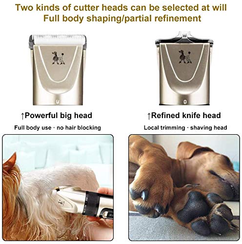 Dog Clippers,2 in 1 Low Noise Professional Dog Grooming kit with Small Trimmer Blade,USB Rechargeable Dog Clippers for Grooming,Electric Dog Grooming Clippers for Thick coats and Small Areas Hair Cut Gold - PawsPlanet Australia