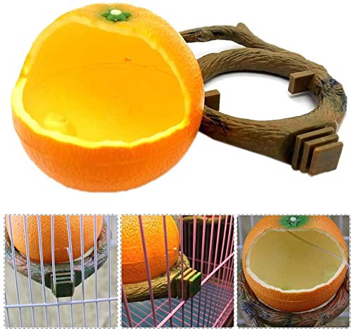 Kassbest Birds Feeder Bowl,Bird Food Feeding Bowl Feed Cup for Small Parrots Cockatiels Conure Hamster Small Animal Drinking Water Container for Birds Cage Accessories - PawsPlanet Australia