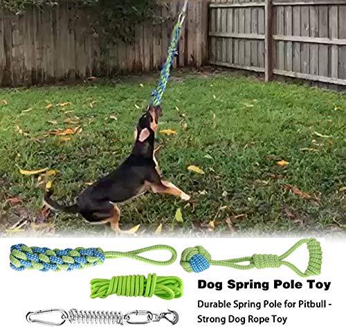 hj ANG Outdoor Stainless Steel Spring Pole Hanging Bungee Exercise Dog Rope Toys,with 2 Braided Cotton Blend Rope, Interactive dog toy for Pulling, Chasing, Chewing, Training (Green with 5M Rope) Green with 5M Rope - PawsPlanet Australia