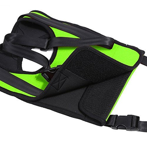 Da Jia Inc Dog Lift Rehabilitation Support Harness Assist for Elderly Disable Joints Surgery(Green,28-35Kg) 28-35Kg/61.6-77LB Green - PawsPlanet Australia