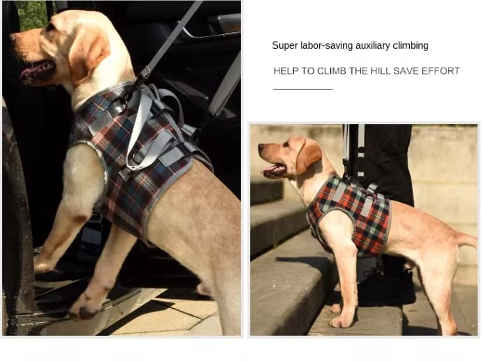 XTrador dog harness walking aid for dogs especially for problems with the shoulder carrying strap for injured, older or musculoskeletal limited dogs rehabilitation safety walking aid (XL) XL - PawsPlanet Australia