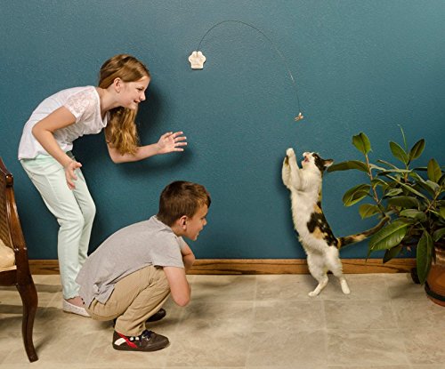 [Australia] - Cat Toy Original 