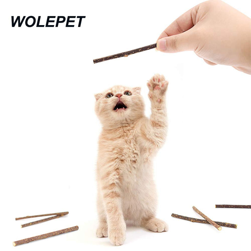 WOLEPET Catnip Sticks for Cats, Natural Catnip Sticks 100% Natural Chew Toys for Kitten Kitty - PawsPlanet Australia