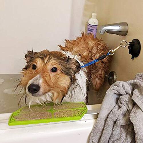 Pmsanzay Powerful Suction Cup Hook Cleat for Pet Dog & cat Bathtub, Shower & Pet Bathing Tether, Dog Grooming Tub Restraint Tether - No Leash - PawsPlanet Australia