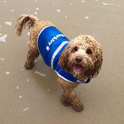 Spoilt Rotten Pets Blue Small For Westies, Shih-tzu & Cockerpoo Sized Dogs Custom Personalised High Visibility Lightweight Coat For Dogs (Blue, Small) - PawsPlanet Australia
