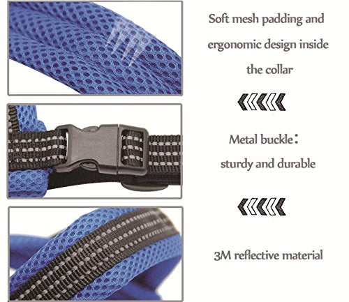 BPS® dog harness, adjustable, 4 sizes to choose from for small and medium-sized dogs, L red - PawsPlanet Australia