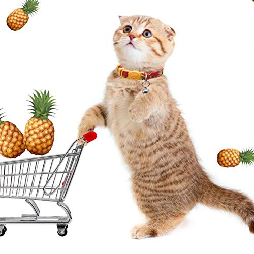 azuza Cat Kitten Collar Breakaway with Bell Quick Release Safe Buckle Adjustable Cat Kitten Collar Kitten Collar ( 6“-8”) - PawsPlanet Australia