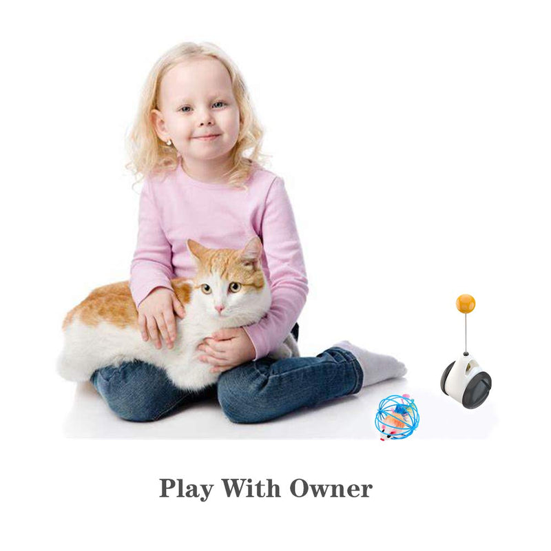 [Australia] - Onybte Cat Ball Tumbler Interactive Cat Toys for Indoor Kitty,Balance Ball and A Feather Tail Mouse in Metal Wire Ball as Additional Gift for House Kitten 