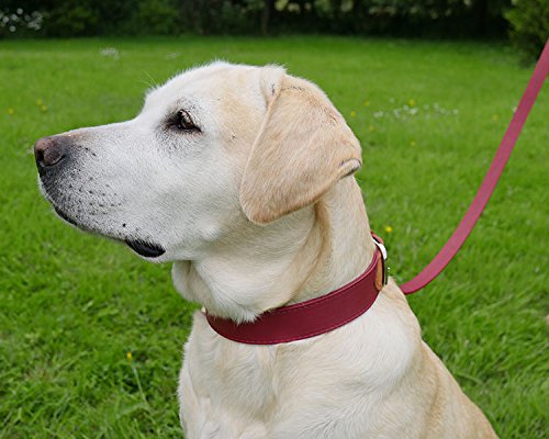 Rosewood Luxury Leather Dog Lead, 40 x 3/4 inch, soft touch red - PawsPlanet Australia