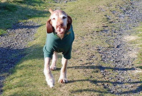 Hotterdog Fleece Jumper (from Equafleece) Small Green - PawsPlanet Australia