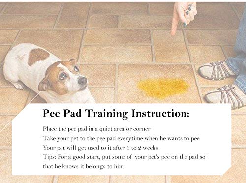 RC GearPro Washable Dog Pee Pads, Washable, Reusable, Pet Training Pads. Waterproof, Leak-Proof and Absorbent. Whelping, Incontinence, Travel, Bed Wetting, Mattress Protector (L, Grey) L - PawsPlanet Australia