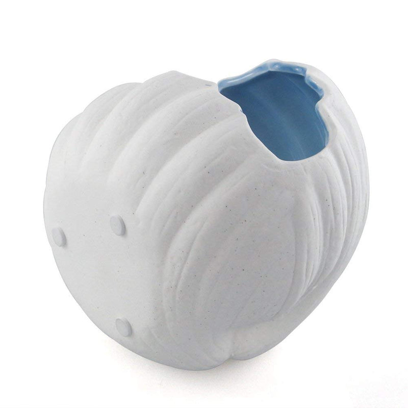 Laak Small Animal Pet House Adorable Shell Shape Ceramic Igloos Nest Hideout Critter Bath House Cave Mini Hut Cage for Chinchilla Hamster… Blue - PawsPlanet Australia