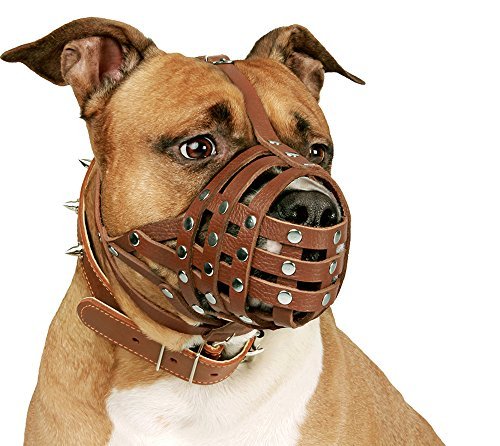 CollarDirect Dog Muzzle Pitbull Amstaff Staffordshire Terrier, Safe Leather Dog Muzzle Against Barking, Biting, Chewing, Black, Brown - PawsPlanet Australia