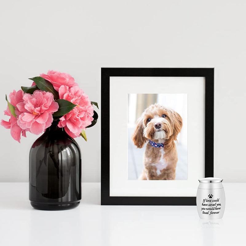 JIELISI Mini Dog Urns for Ashes Small Cremation Urns with a Small Spoon & Black Velvet Bag Decorative Stainless Steel Memorial Mini Keepsake Urns for Dogs Cats Ashes Holder (Silver) - PawsPlanet Australia