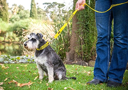 NERVOUS (Give Me Space) Yellow Colour Coded S-M L-XL Dog Collar and 60cm 1.2m 1.8m Luxury Neoprene Padded Handle Lead Sets PREVENTS Accidents By Warning Others Of Your Dog In Advance (S-M & 1.8m) S-M Collar & Long 1.8m/72inch Lead - PawsPlanet Australia