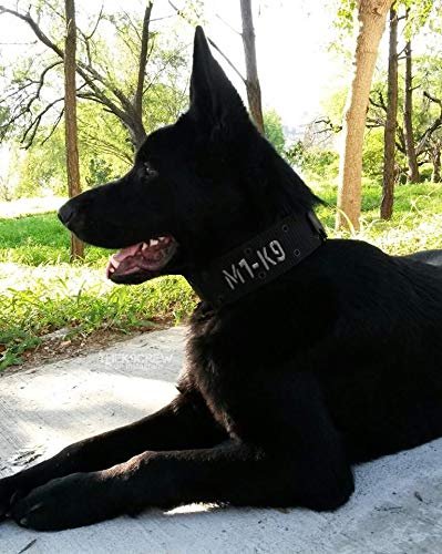 [Australia] - M1-K9 Big Military Dog Collar Gen. 3, Adj. 16"-26" Tactical Black 