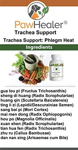 Trachea Support Dog Cough Remedy -- Used for loud, honking cough - 50 grams/powder… - PawsPlanet Australia