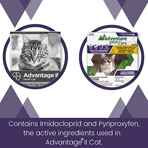 Adventure Plus Flea Prevention for Cats - Topical Flea Treatment for Cats (9+ lbs) Pack of 8 - PawsPlanet Australia