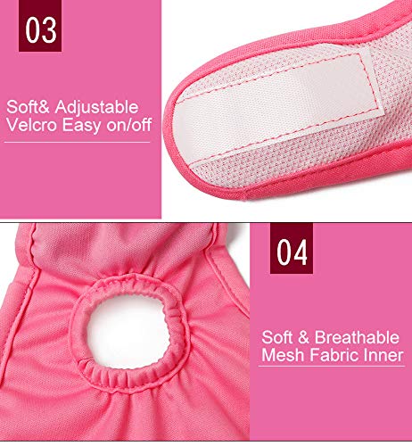 RC GearPro Female Dog Diapers, Pack of 3 Washable Reusable Sanitary Panties for Small to Large Dogs L - PawsPlanet Australia