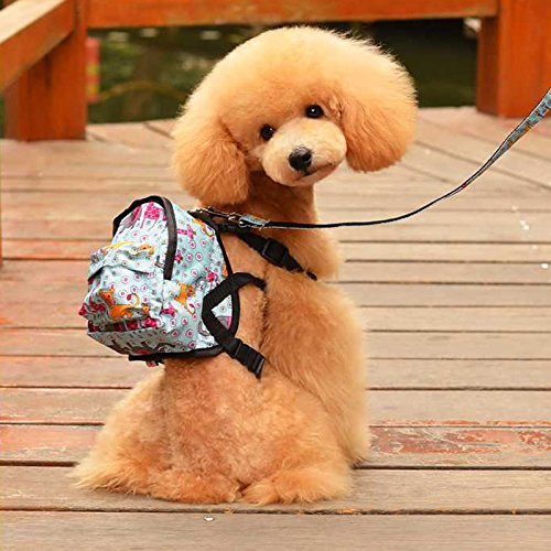 [Australia] - O&C Puppy Dog Backpack,Saddle Bags,Back Pack with Training Lead Leash S(12x14cm) Blue Animail 