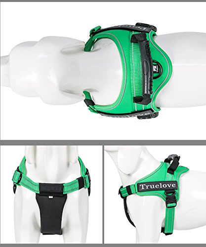 Truelove Dog Harness No-Pull 3M Reflective Stitching Ensure Night Visibility, Outdoor Adventure Big Dog Harness Perfect Match Puppy Vest TLH5753 Now Available in 6 Colors 6 Sizes XS Grass Green - PawsPlanet Australia