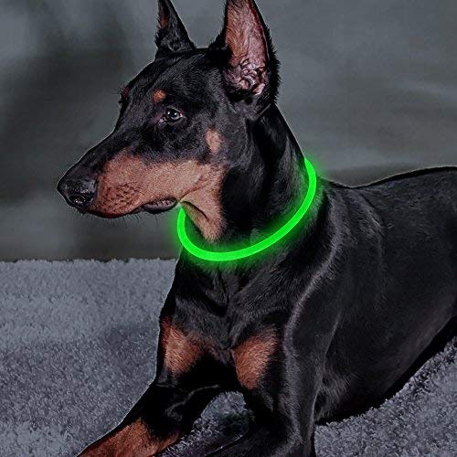 [Australia] - USB Rechargeable LED Dog Collar - Glowing Pet Collar for Dogs, Light Up Doggy Collars Keep Your Dogs Be Seen& Be Safe Adjustable Size Flashing Collars Green 