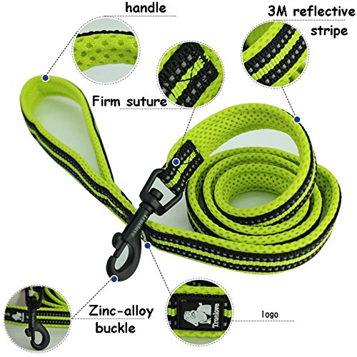 [Australia] - Creation Core Reflective Nylon Dog Collar and Training Leash Set for All Season Padded Durable Adjustable L(17.7-19.7") Blue 