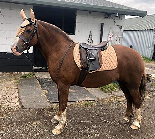 Equipride GP SADDLE PAD SHIMMER WITH MATCHING FLY VEIL SPARKLE GLITTER FABRIC ROSE GOLD (Full/Cob) Full / Cob - PawsPlanet Australia