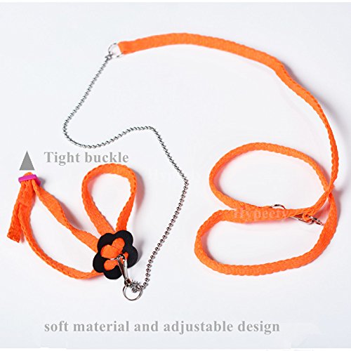 Beauty Parrot Adjustable Bird Harness and Leash Anti-bite for Bird Parrot African Grey Cockatoo Macaw Ringneck Parakeet Cockatiel - PawsPlanet Australia