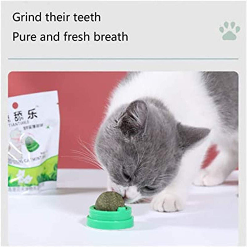 QMYS Rotate Natural Catnip Ball Cat Treats Pet Toys Funny Home Chasing For Kitten Lollipop Mint Stick Dental Chews Teeth - PawsPlanet Australia