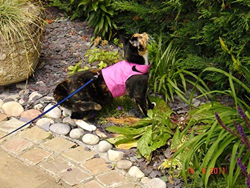 Mynwood Cat Jacket/Harness Pink Adult - PawsPlanet Australia