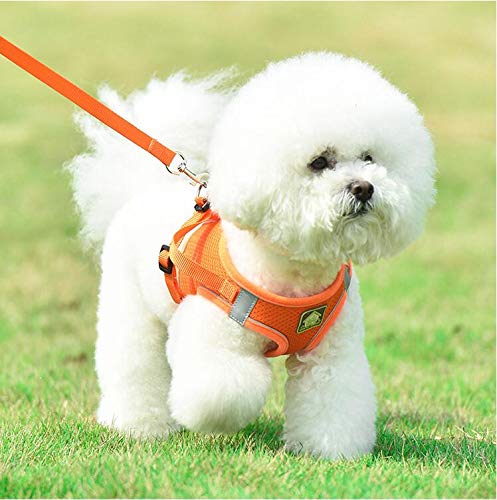 Puppy Dog harness with 1.5m leash, Reflective adjustable pet vest strap for puppy kitten, No pull safe harness for dog cat walking running training Breathable Chest Padded Escape proof M Orange - PawsPlanet Australia