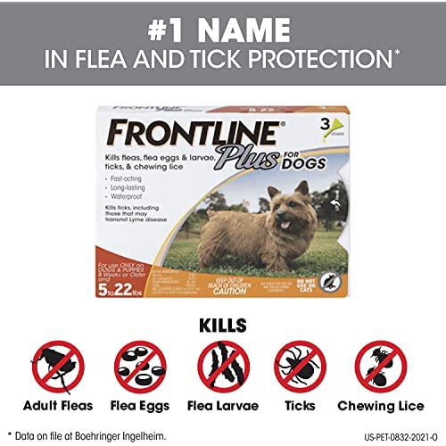 FRONTLINE Plus Flea and Tick Treatment for Dogs (Small Dog, 5-22 Pounds) 3 Count - PawsPlanet Australia