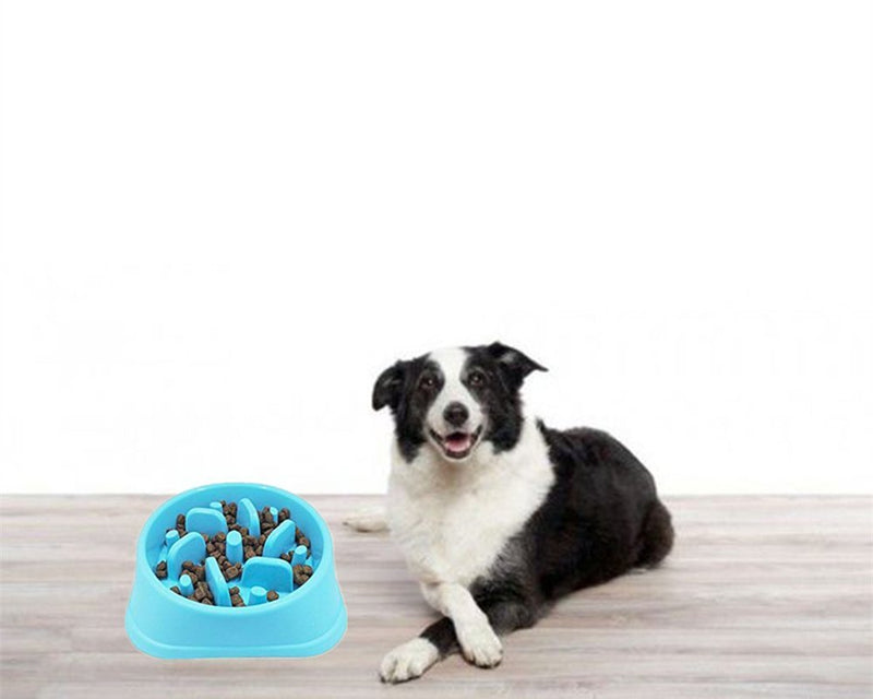 [Australia] - JKC HOME-STAR Dog Bowls Slow Feeder Fun Feeder Slow Feed Stop Bloat Dog Bowl Durable Non-Slip Pet Drink Water Bowl 