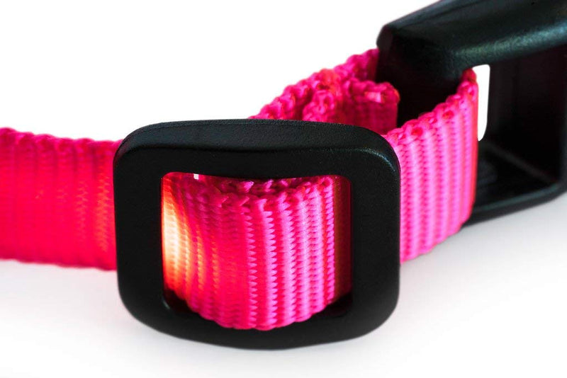 [Australia] - Great-Dealz LED dog Collar to Keep Your Dog Safe  – Flashing Dog Collar with Extra Batteries Small Min (6-8 inches) Pink 