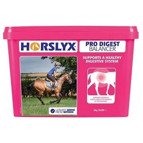 Horslyx Refill Horse Lick (5 kg) (Mint) - PawsPlanet Australia