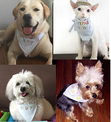 [Australia] - Alemon Dog 1st Birthday Party -ONE Banner Garland Frist Pet Birthday Hat -Dog Hat 3 Pack(banner /bandana /hat) 