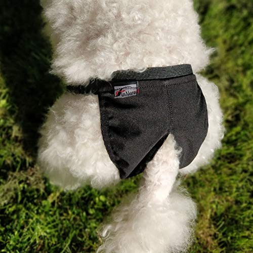 FinNero Basic Heat Pants for Dogs, L - PawsPlanet Australia