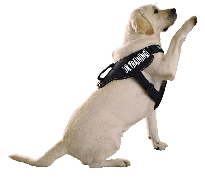 [Australia] - Dogline in Training Patches for Harness and Vest Removable 3D Rubber Patches with Hook Backing for Small Medium or Large Working Dogs 1.5" x 4" - Two Patches 