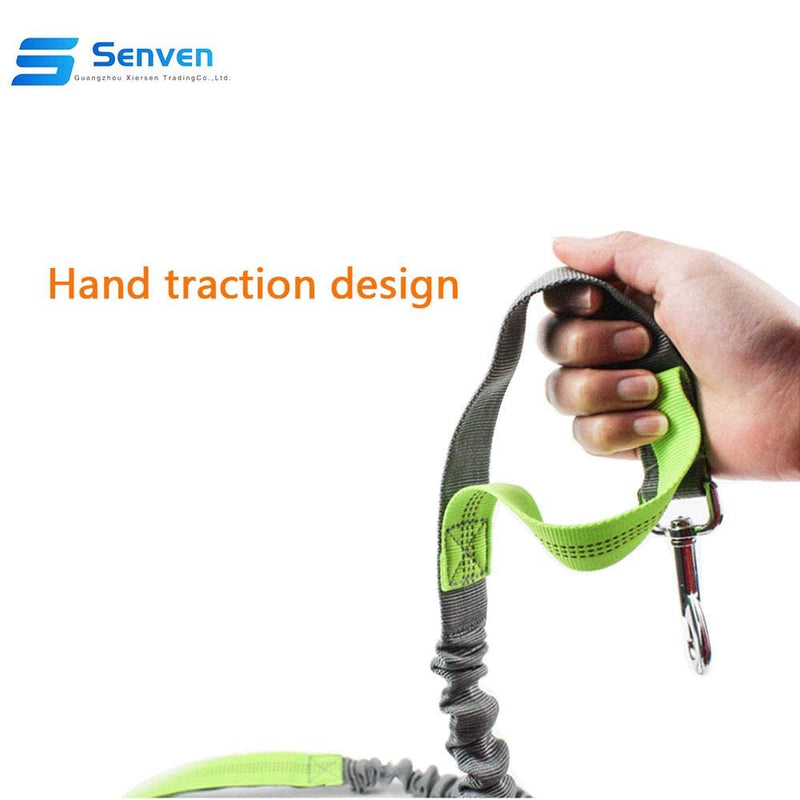 Senvenelec Jogging Dog Leash, Retractable Dog Leash, Adjustable Belt Carry Handle Running Bungee Dog Harness, Reflective Strap, Running, Walking, Hiking Hyena (Green, Gray and Grey) - PawsPlanet Australia